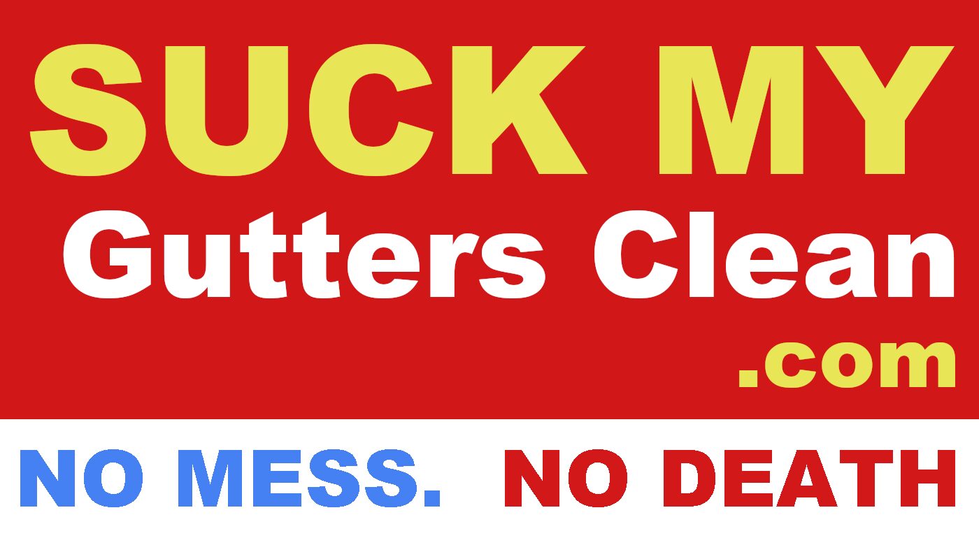 Guru Gutter Cleaning — gutters, at work