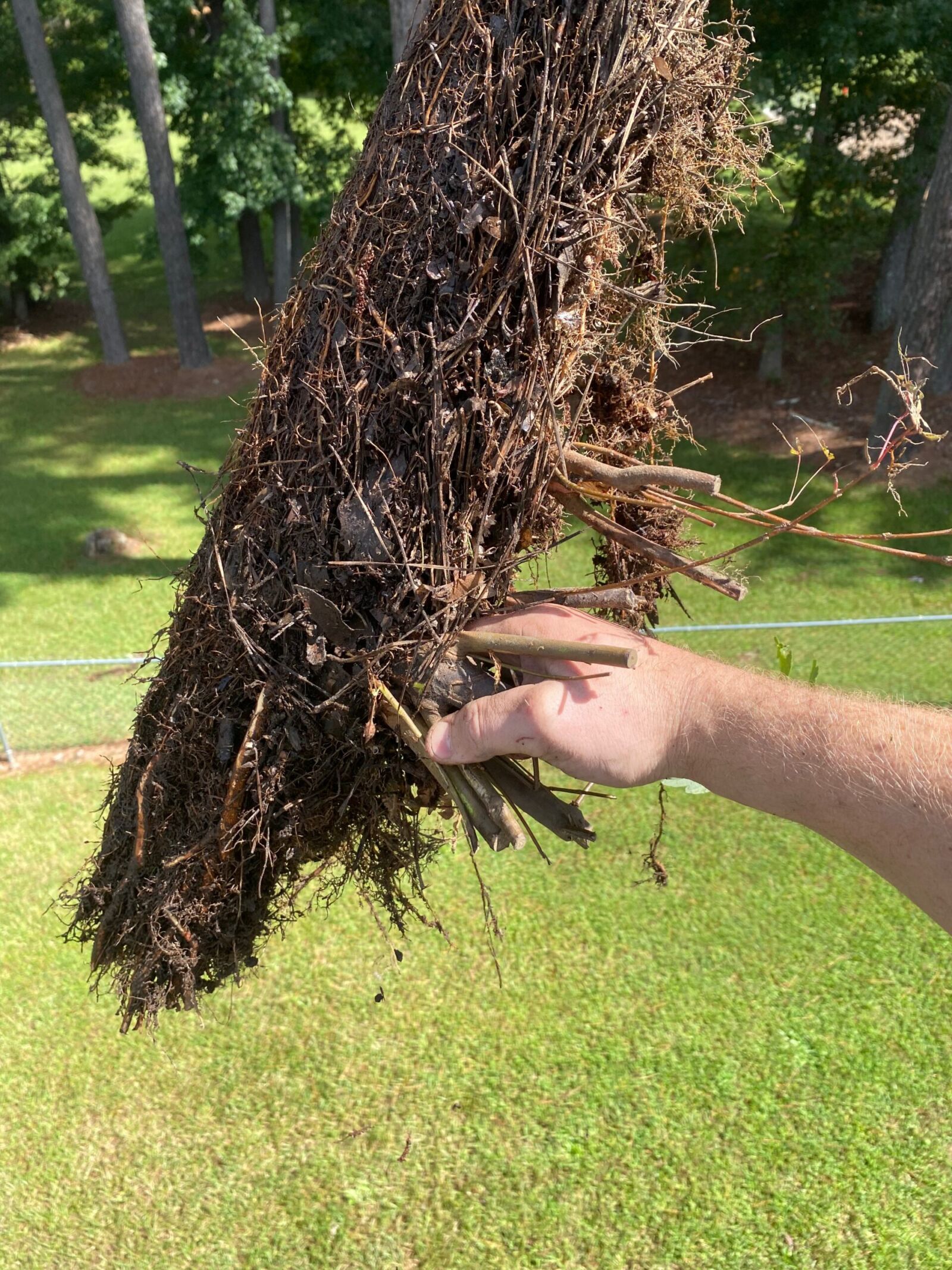 Guru Gutter Cleaning — gutters, at work